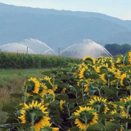 Agriturismo Borgo Chiasalp