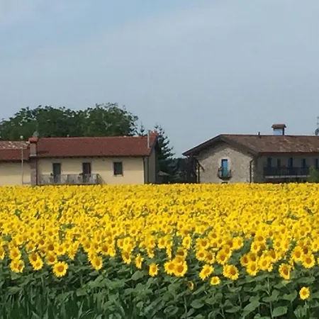 Farm stay Agriturismo Borgo Chiasalp *