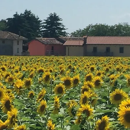 Agriturismo Borgo Chiasalp Moimacco