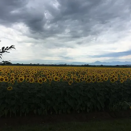 Agriturismo Borgo Chiasalp Moimacco