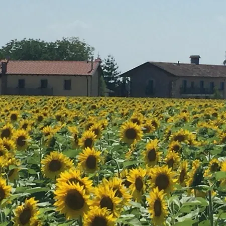 Agriturismo Borgo Chiasalp Moimacco