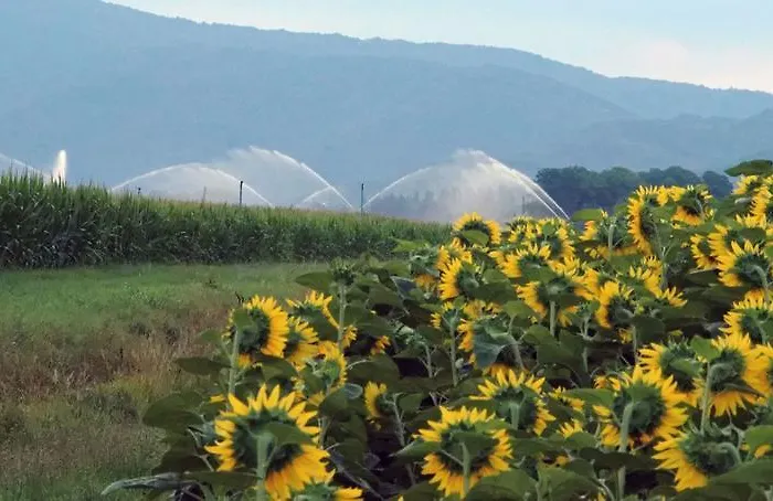 Agriturismo Borgo Chiasalp