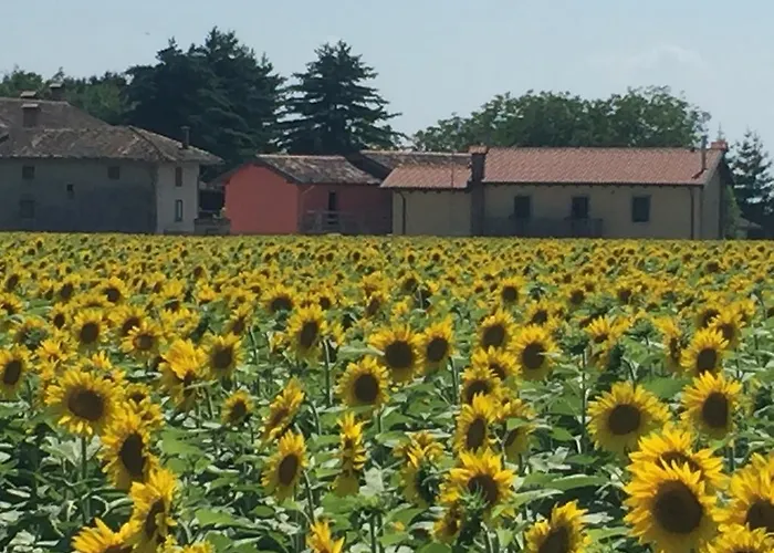 Agriturismo Borgo Chiasalp Moimacco