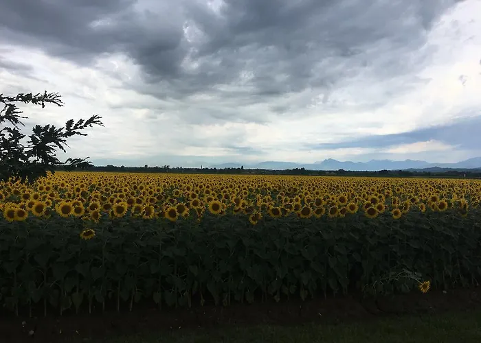 Agriturismo Borgo Chiasalp Moimacco