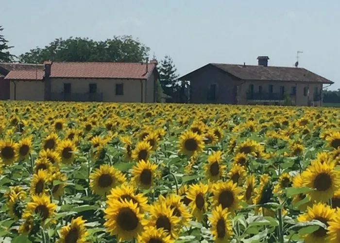 Agriturismo Borgo Chiasalp Moimacco